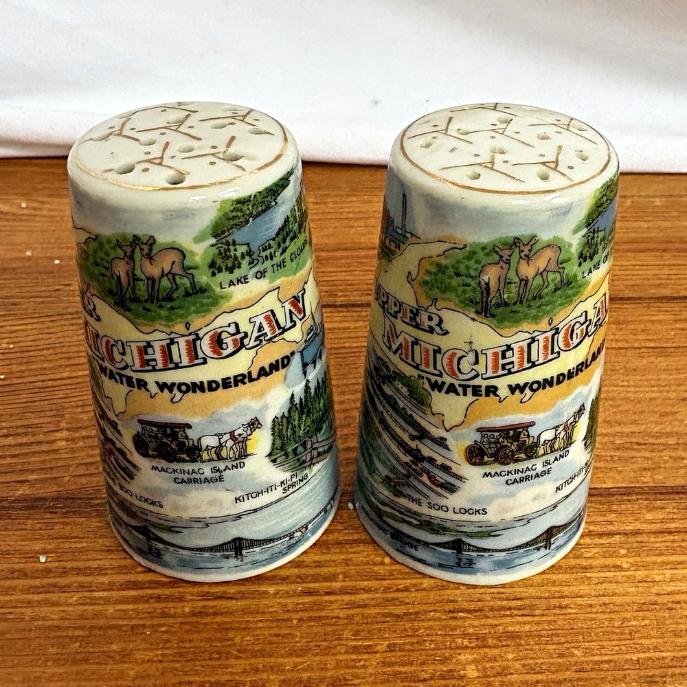 Vintage Michigan Water Wonderland Souvenir Salt & Pepper Shakers Pair 3"